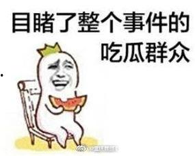 娱乐吃瓜酱制造舆论,揭秘娱乐圈幕后风云，制造舆论热点